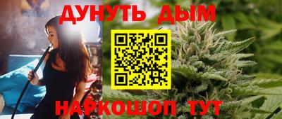 шишки Будённовск
